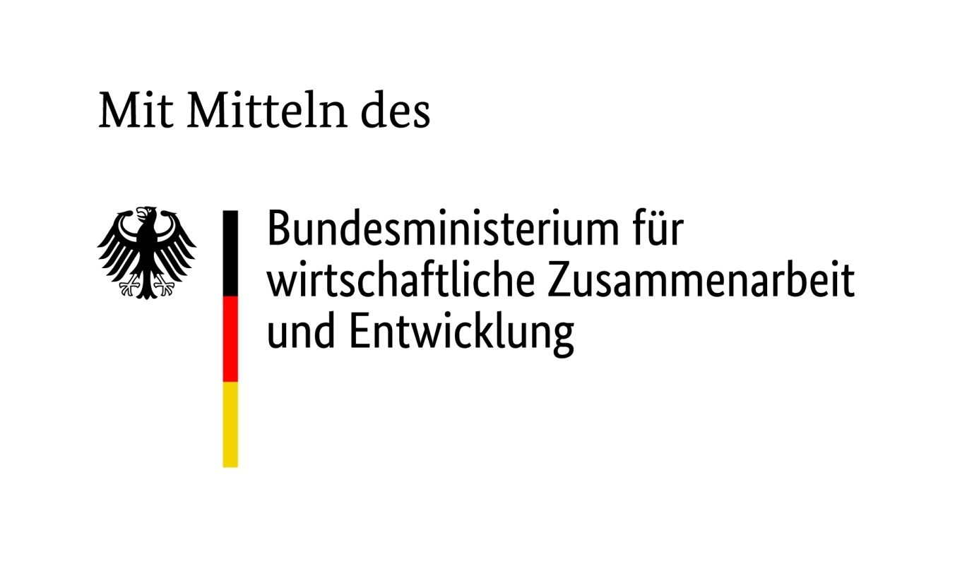 BMZ logomark